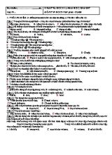 Kiểm tra học kì I, Năm học 2016 - 2017 môn Tin học 9